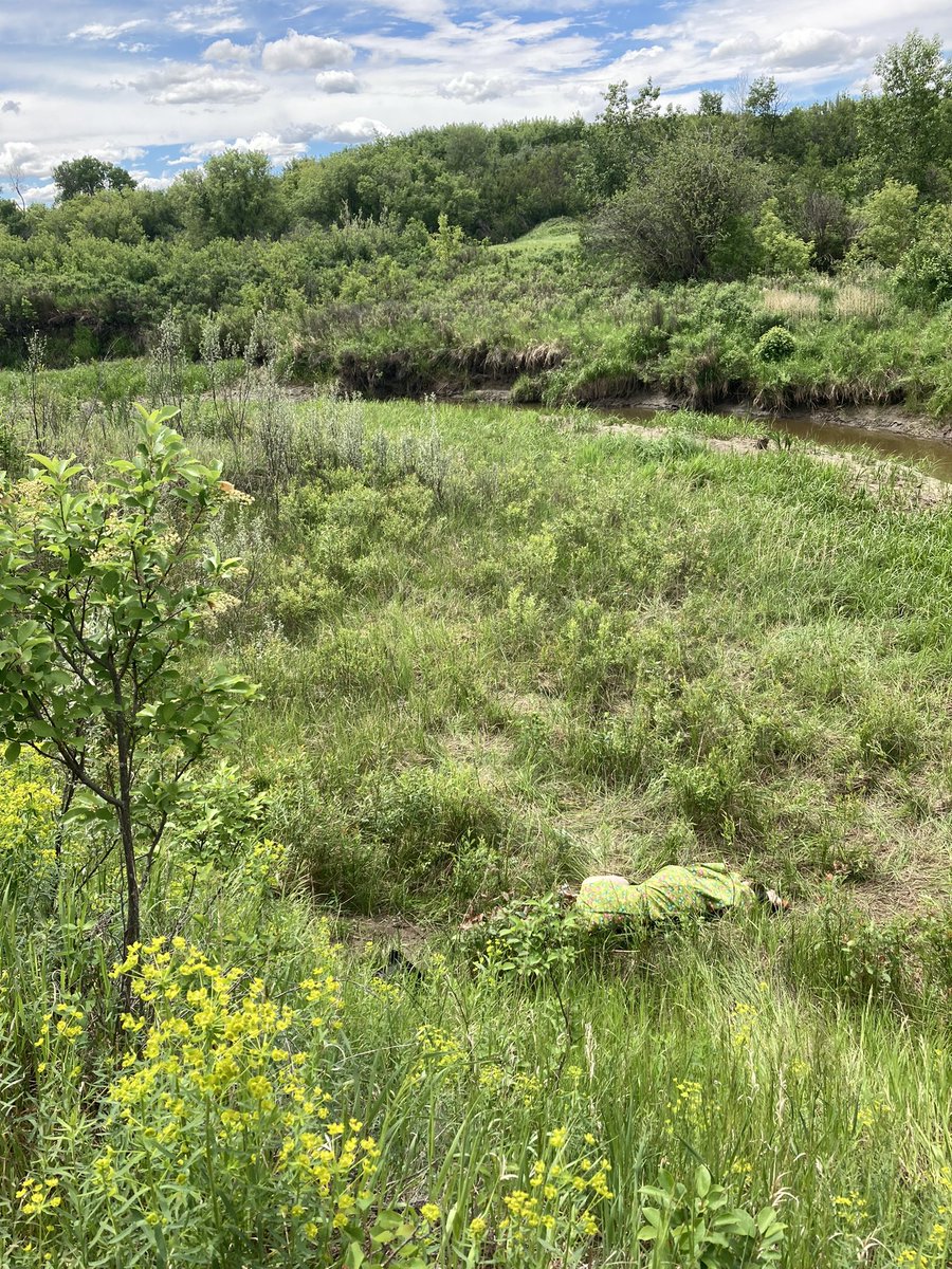 SPSBrightwater's tweet photo. “…you have but slumbered here, while these visions did appear”. It was a dreamy day on the land with WMCI grade 9 students as they performed a Midsummer Nights Dream in the riparian forest.🌳🎭🌳 @StoonPubSchools https://t.co/oCoYMGVgut