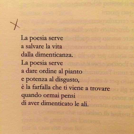 natalie111T's tweet photo. Autore poesia: G.Gherzi                           Che la poesia sia ancora in grado di salvarci. Che il nostro buono non venga sperperato. Che anche gli animi disonesti possano affievolirsi davanti agli occhi veri. Che ci sia ancora la parola salvezza per il nostro mondo. https://t.co/yDITmYAG82
