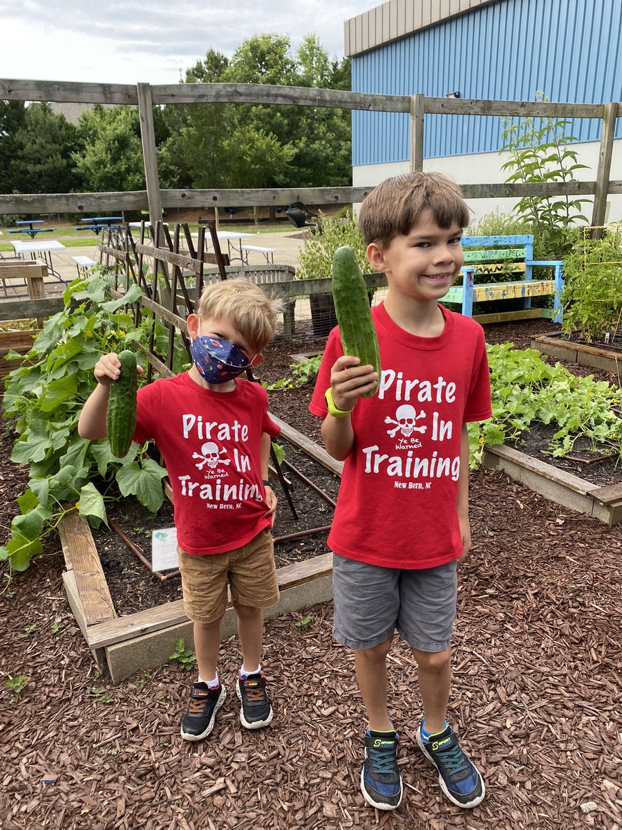 LPESGardenClub's tweet photo. Checking on the garden today in this heat wave. Everything is growing strong! The 3 Sisters garden is well on its way and our cucumbers and tomatoes are ready for harvesting. https://t.co/XBwFGJ4uZv