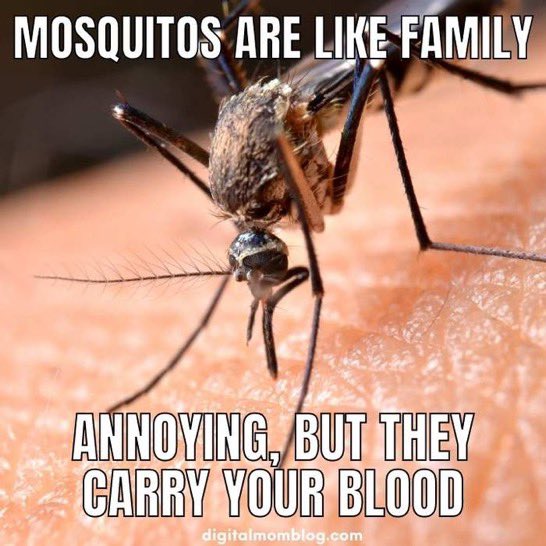 mosquitotechWPG's tweet photo. https://t.co/pH0dKhtHjg