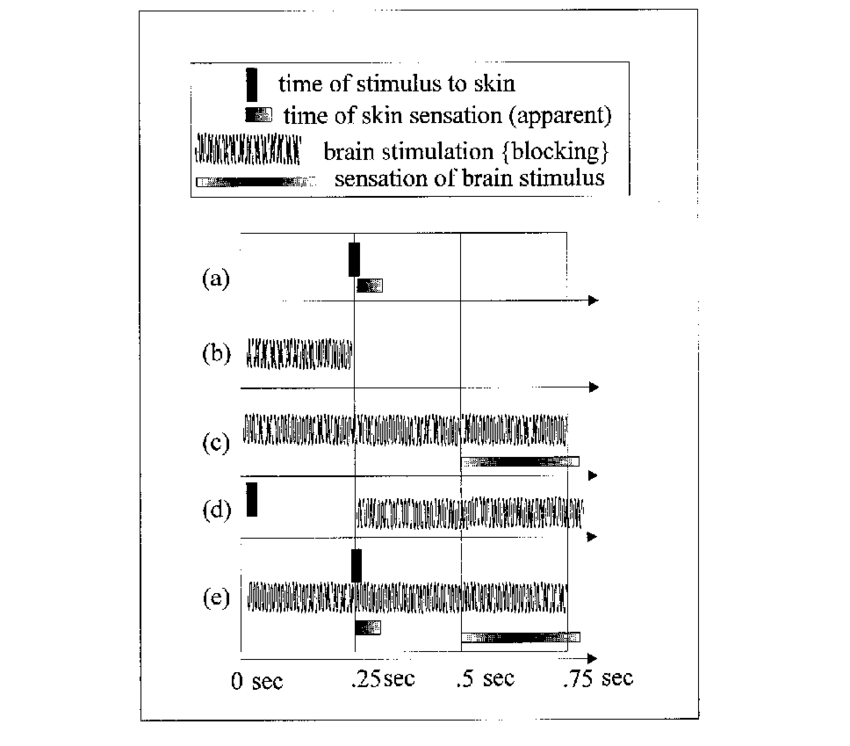 HedonikaHadron's tweet photo. cortical signal was applied first.

#Data from #Libet' s #experiment.
[...]
Libet calls the #backward-through-time referral, (e), #subjective #antedating.
https://t.co/NQzBLIXhLs https://t.co/Zy2ukHNvny