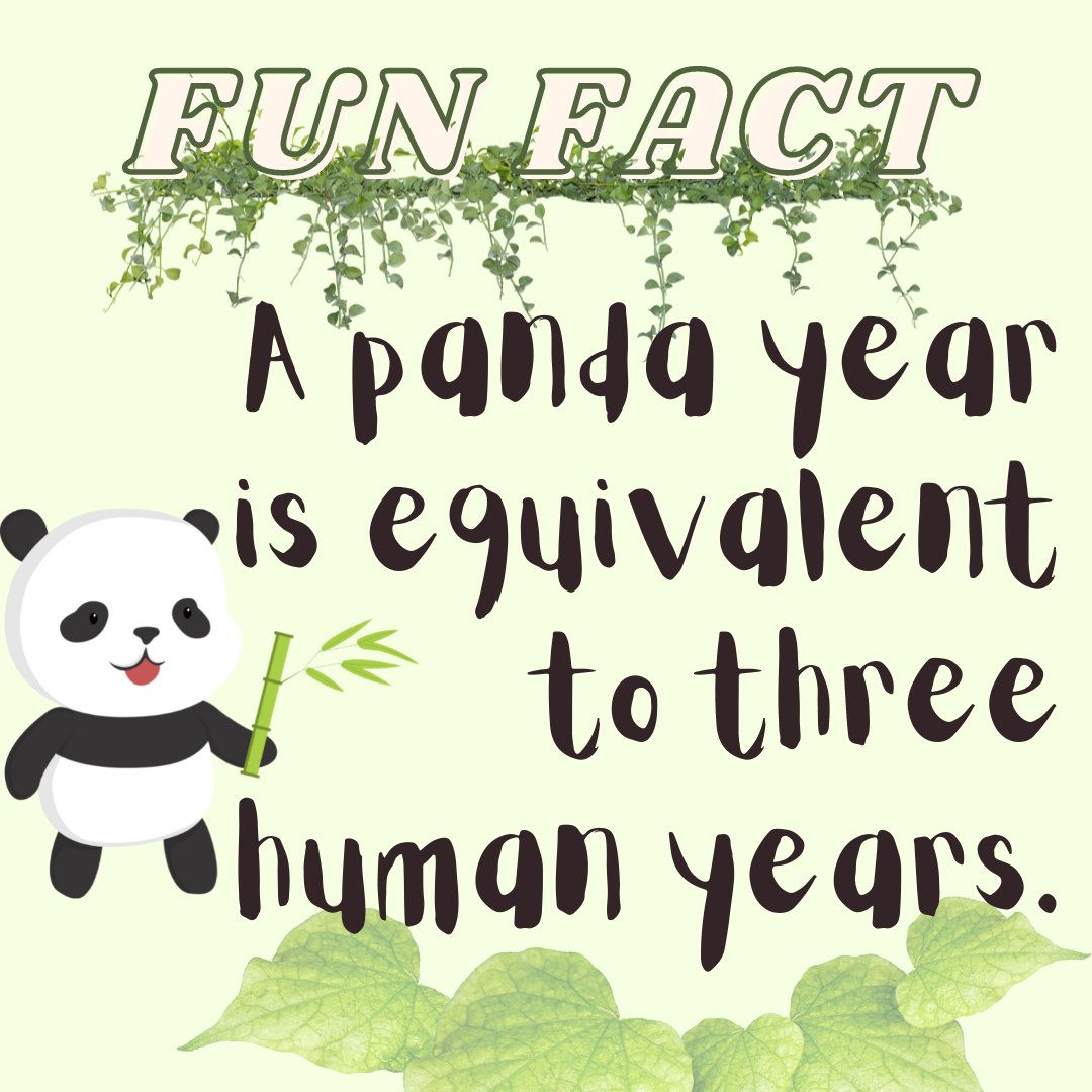 Hey PawFam! Here's a FUN FACT about PANDAS!

Follow + RT for more!
#NFTdrops #NFTartist #NFTCommunity #NFTProject #NFTartwork #NFTCollection #NFTs #NFTdrop #NFTGiveaway #nftart