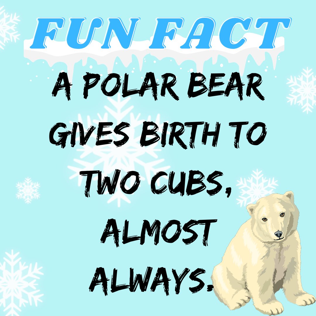 Did you know this about🐻‍❄️?

Follow + RT for more!
#NFTdrops #NFTartist #NFTCommunity #NFTProject #NFTartwork #NFTCollection #NFTs #NFTdrop #NFTGiveaway #nftart