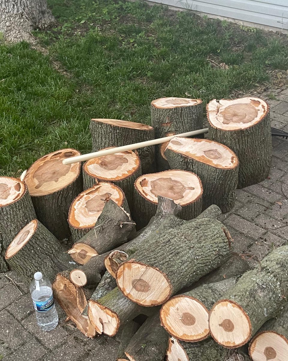 FriendsofMasons's tweet image. After yesterdays storm, a community member reached out for help removing debris from a tree that was knocked over by the powerful storm that swooped by. Two members volunteered their time to remove it and get her yard cleaned up. We are always glad to lend a helping hand! #FOM