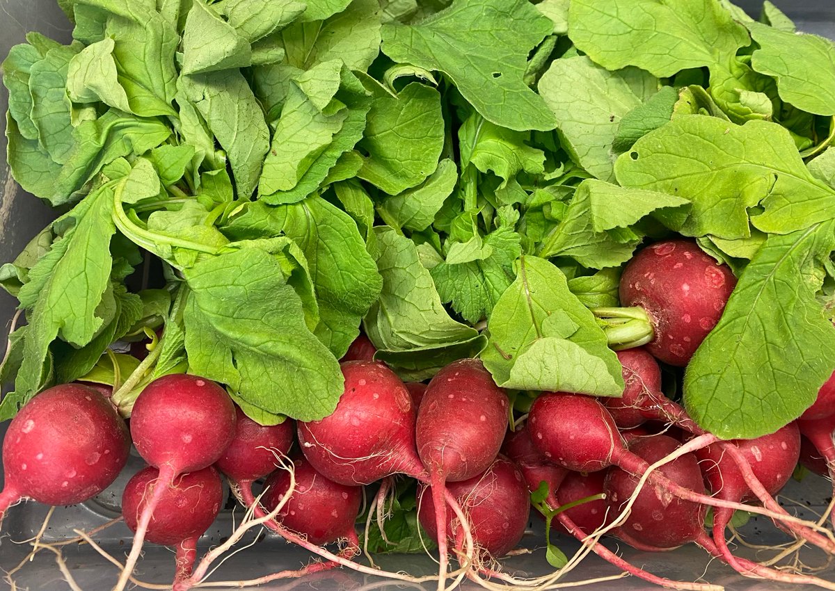 Community Farm Store tweet media