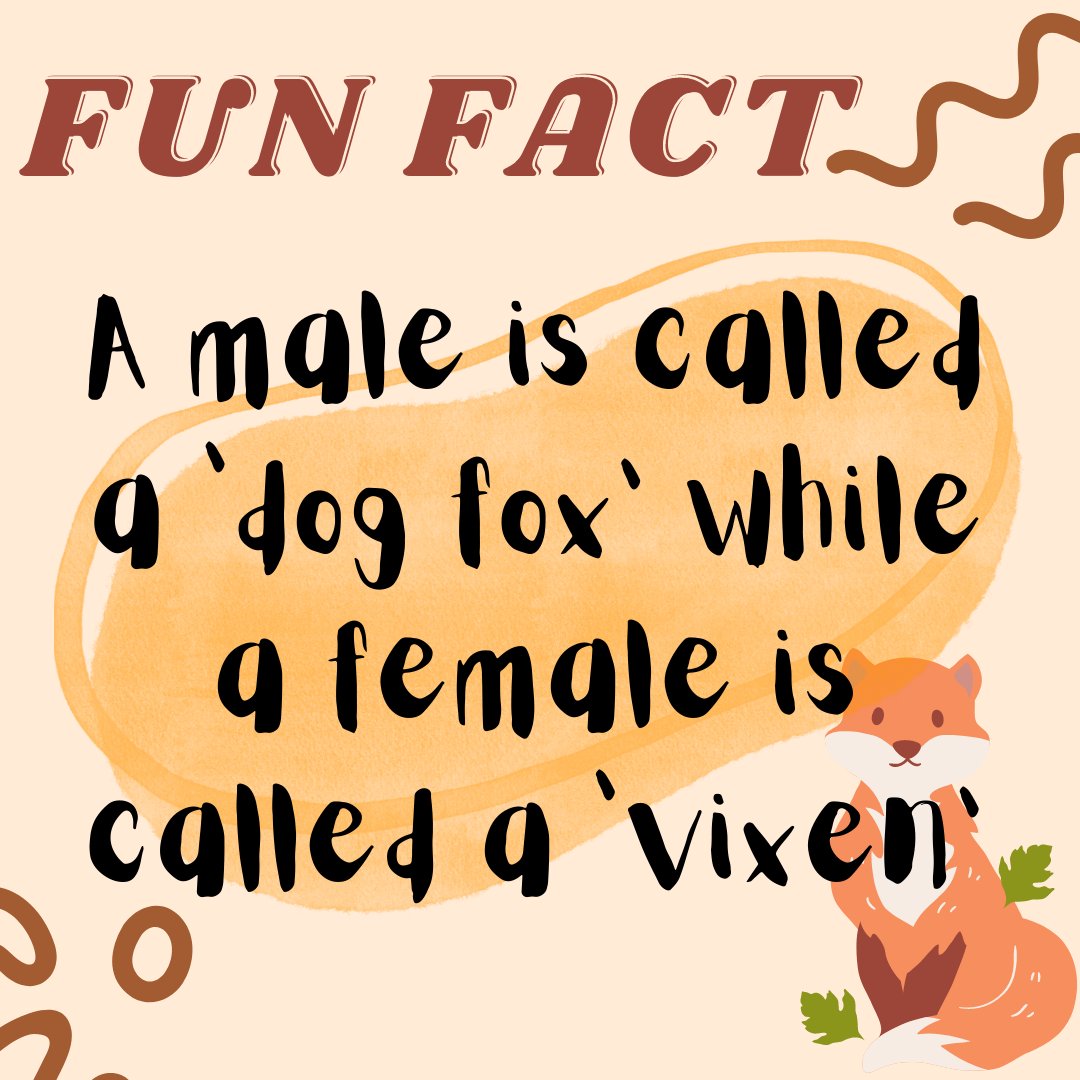 FOXES!

Follow + RT for more!
#NFTdrops #NFTartist #NFTCommunity #NFTProject #NFTartwork #NFTCollection #NFTs #NFTdrop #NFTGiveaway #nftart