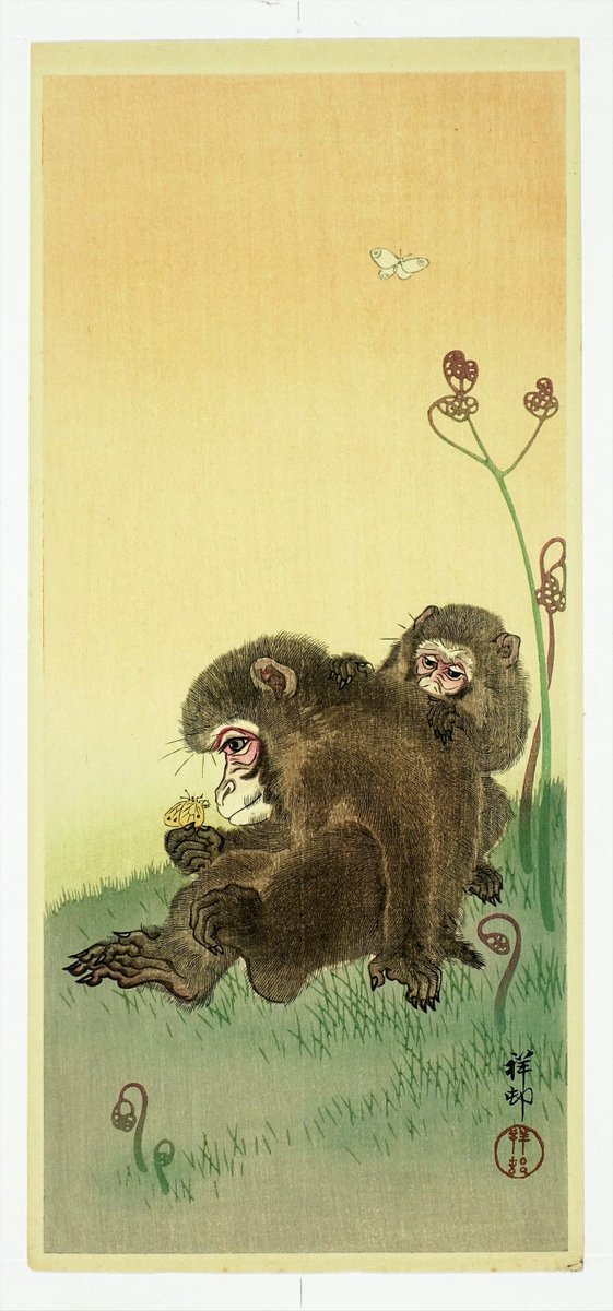 snarkypoppy's tweet photo. 小原古邨  KOSON  c.1930 https://t.co/hsXgQHiLhJ