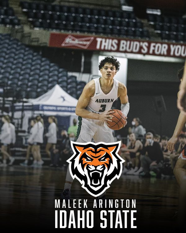 Auburn Hoops tweet media