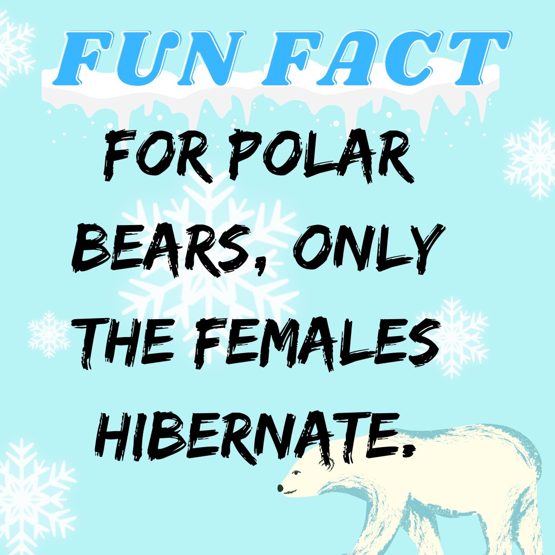 Wishing to hibernate like POLAR BEARS! 

Follow + RT for more!
#NFTdrops #NFTartist #NFTCommunity #NFTProject #NFTartwork #NFTCollection #NFTs #NFTdrop #NFTGiveaway #nftart