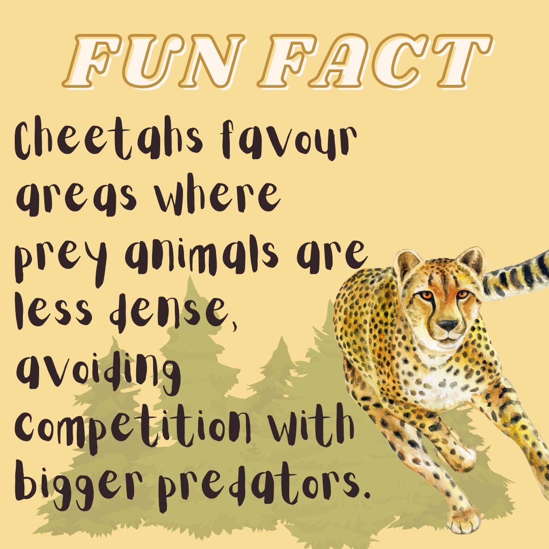 Cheetahs need their space!

Follow + RT for more!
#NFTdrops #NFTartist #NFTCommunity #NFTProject #NFTartwork #NFTCollection #NFTs #NFTdrop #NFTGiveaway #nftart