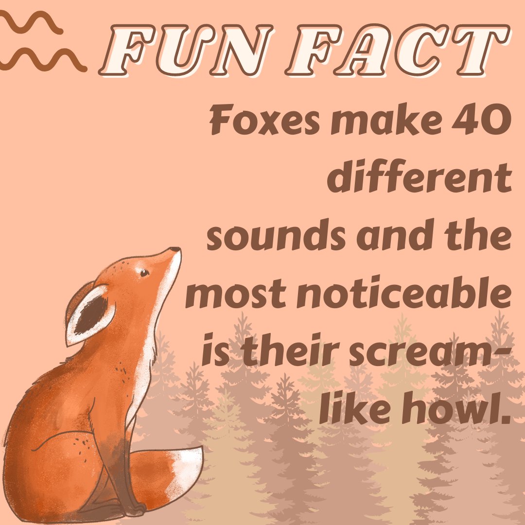 What does the FOX say?!

Follow + RT for more!
#NFTdrops #NFTartist #NFTCommunity #NFTProject #NFTartwork #NFTCollection #NFTs #NFTdrop #NFTGiveaway #nftart