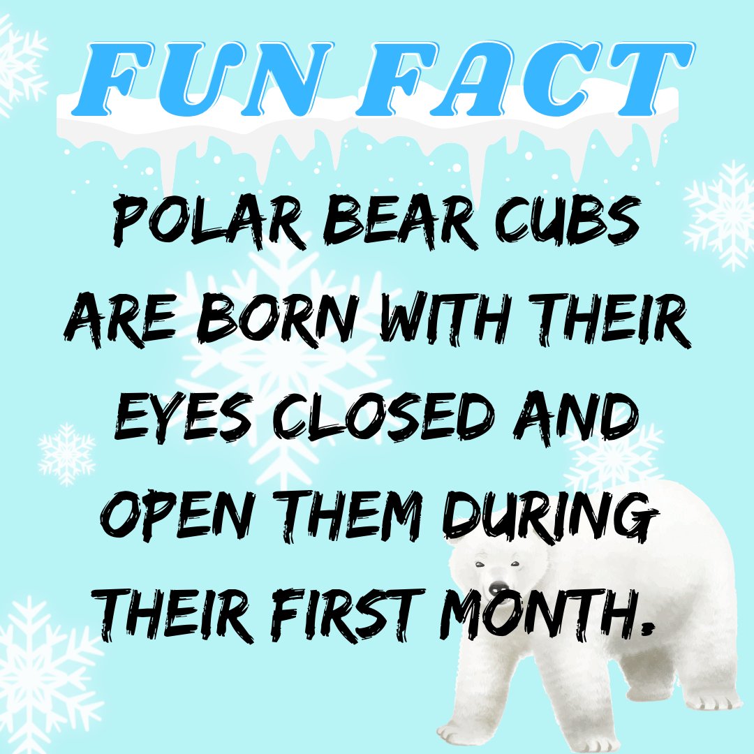 POLAR BEAR CUBS are terribly cute!

Follow + RT for more!
#NFTdrops #NFTartist #NFTCommunity #NFTProject #NFTartwork #NFTCollection #NFTs #NFTdrop #NFTGiveaway #nftart