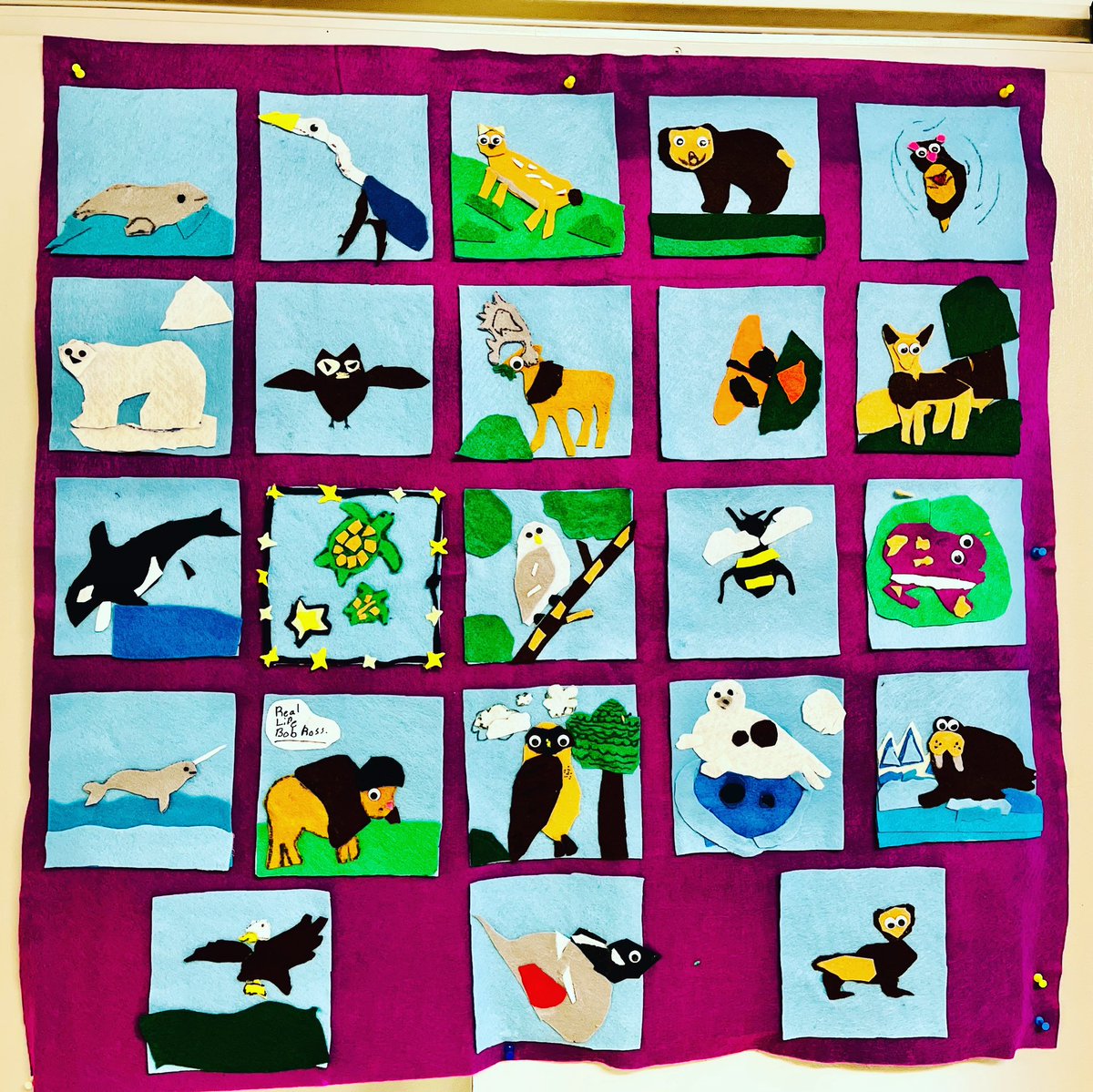 Canada is home to some incredible wildlife. Ss in grade 4/5 created many of these beautiful Canadian animals using felt. #iteachfifth #iteachfourth <a href="/RosemontCBE/">Rosemont School</a>