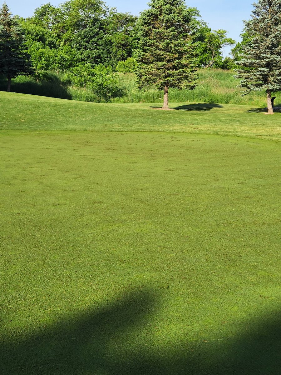 RyanSurettePGC's tweet photo. Nice to sneak in a double verticut to #thinemout and #standemup after a few weeks of pushing greens with aggressive mowing and rolling and ahead of a heat spell https://t.co/iy3roizNVW