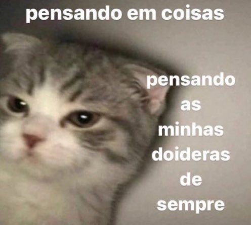 mali 🇵🇸 tweet media