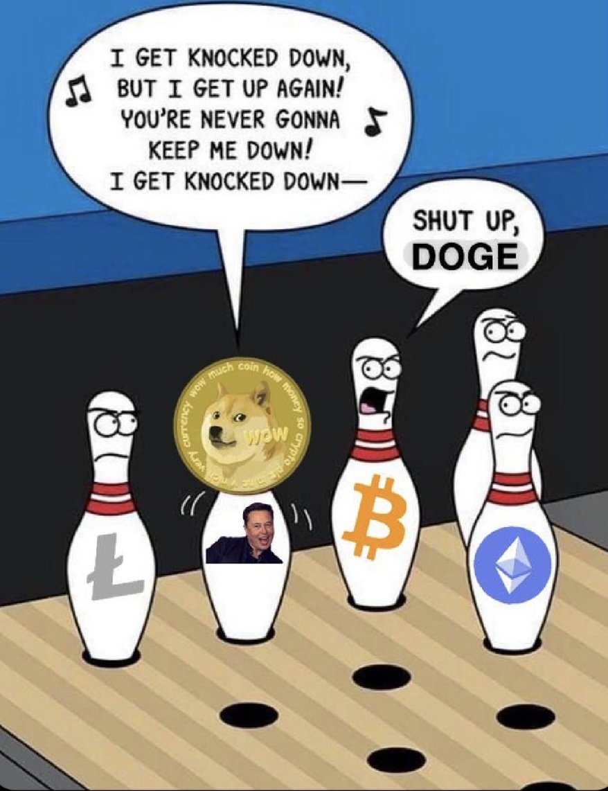 Johnnydoge_76's tweet photo. I love #doge and my #dogefam ! Seems fitting to post this again lol.

#dogecoin #DOGE #dogefam #dogefather https://t.co/WYovHc7ebw
