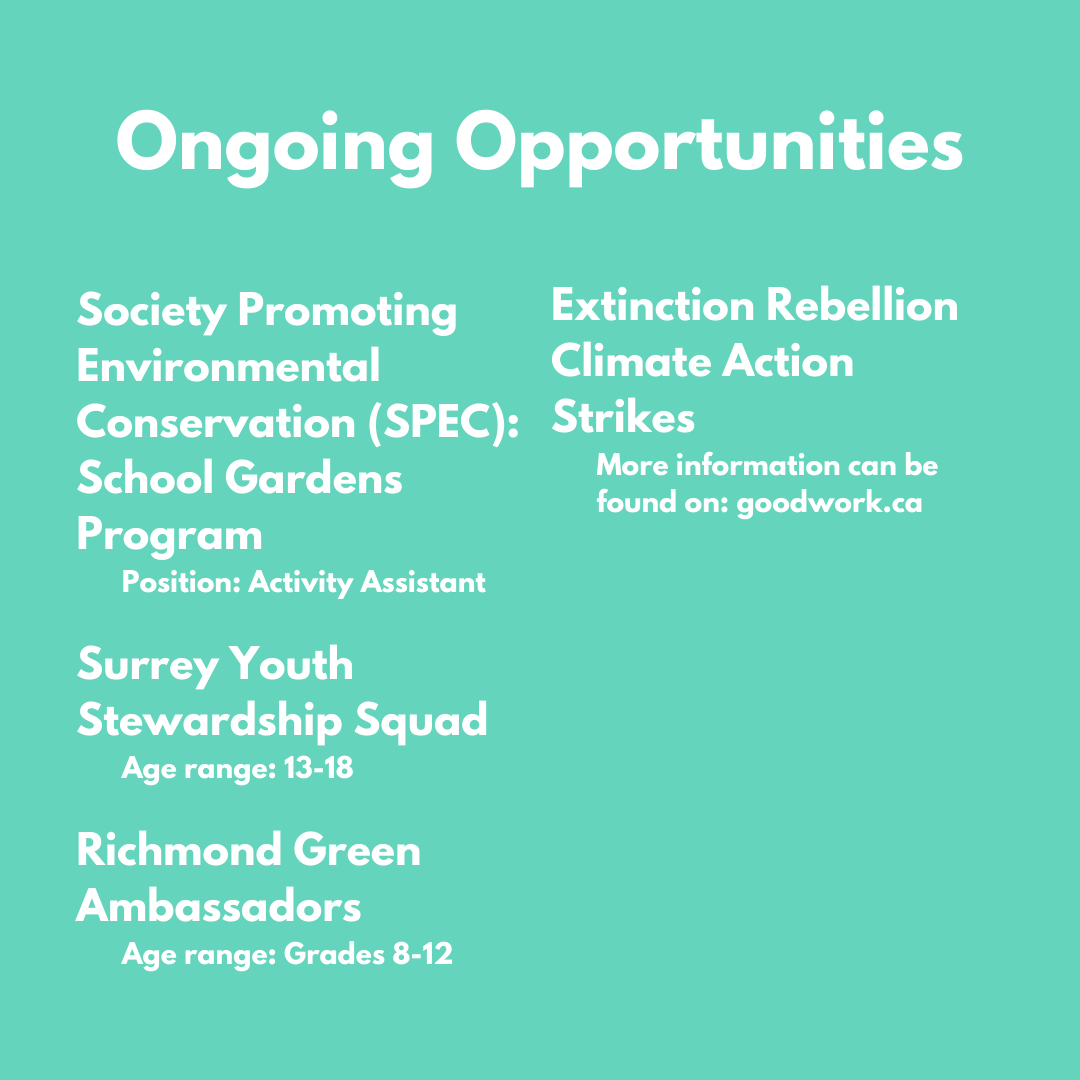 BTCEA's tweet photo. Are you looking for summer youth opportunities to get involved within your local community? If so, check out our compiled list of summer and ongoing opportunities that are currently hiring or looking for volunteers/participants!
 
#summerjob
#youth
#volunteer https://t.co/duFmkmOY2O