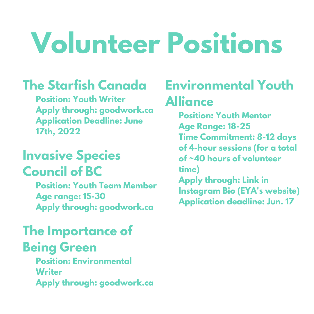 BTCEA's tweet photo. Are you looking for summer youth opportunities to get involved within your local community? If so, check out our compiled list of summer and ongoing opportunities that are currently hiring or looking for volunteers/participants!
 
#summerjob
#youth
#volunteer https://t.co/duFmkmOY2O