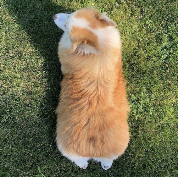 Beysrina On Twitter RT PAVGOD Incredible How Such Tiny Feets Can 