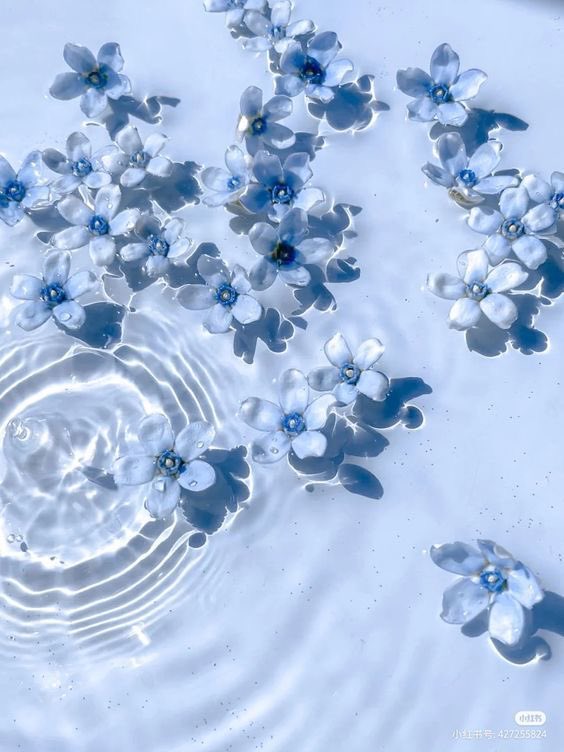 siblings_kim's tweet photo. To help celebrate the birthday of my wonderful friend and ceo of midnight entertainment ace I decided to do this blue aesthetic #MidnightEntertainment https://t.co/cd50ZF0BIz