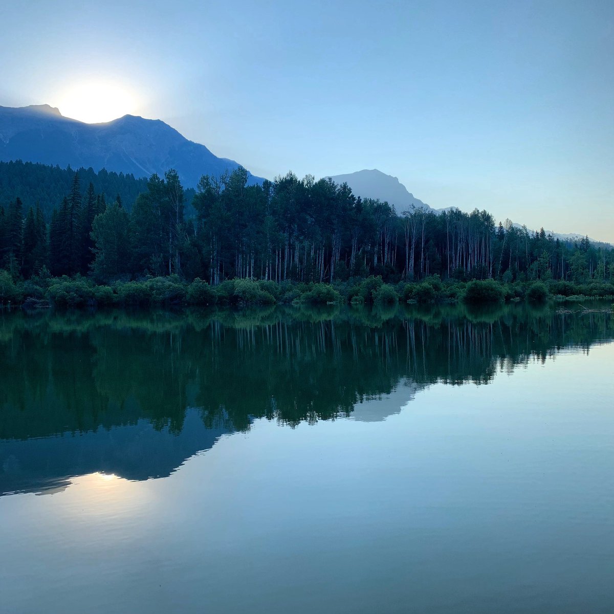 Maggie Romuld tweet media