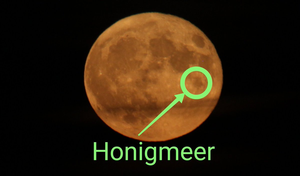 #Supermond für Imker:
Das Honigmeer...