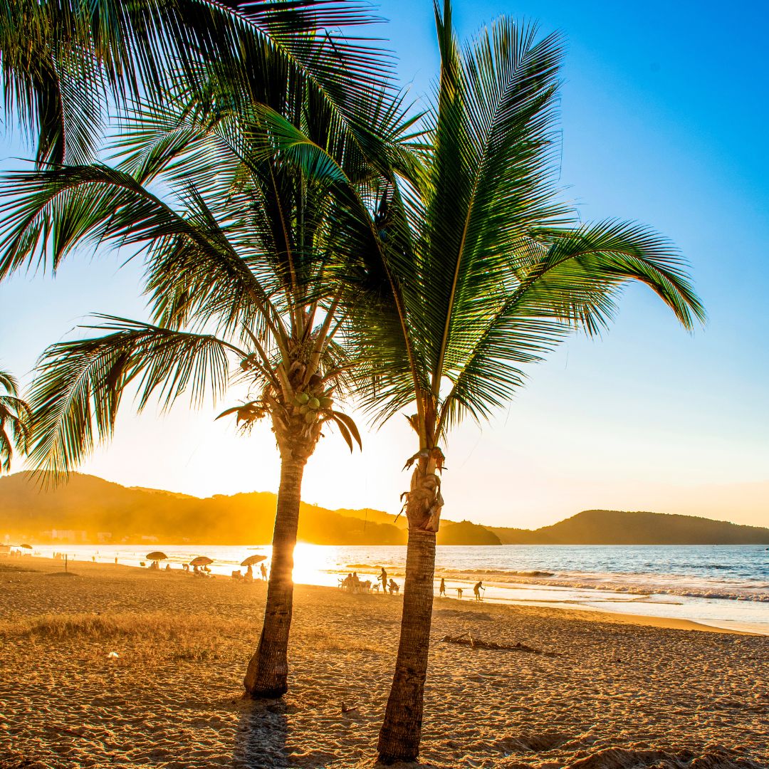 Rincón de #Guayabitos, destino de aguas tranquilas y atardeceres magníficos de la costa Nayarita.

#rivieranayarit #nayarit #mexico #nayaritdespiertaloenti #visitmexico #sunset #beachday #sunsetlovers