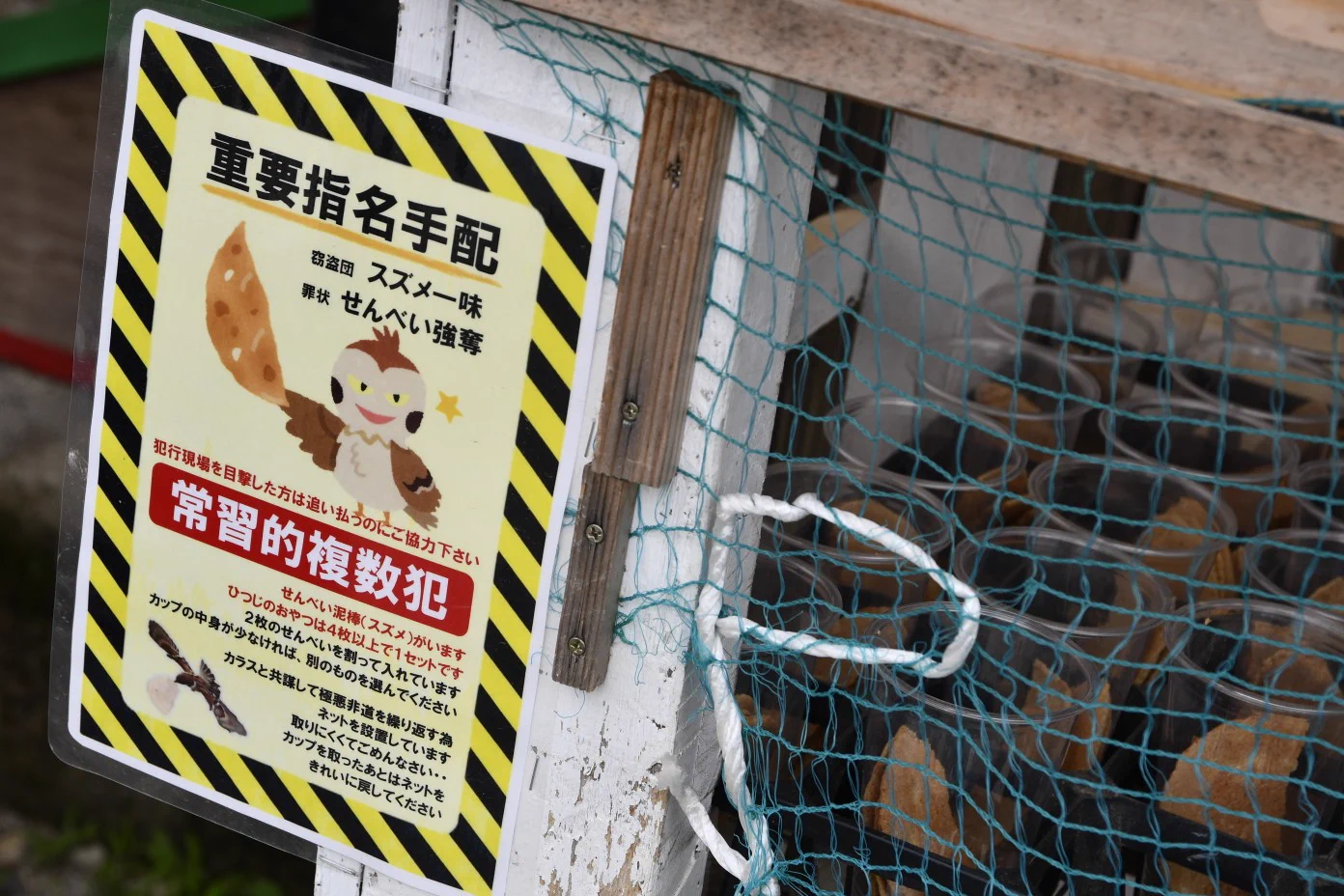 どこでも悪さを働く食欲の権化スズメ  
