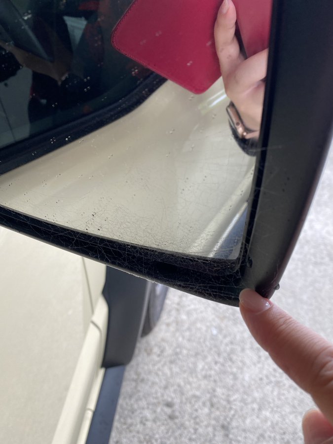 車に蜘蛛の巣をはられない方法 クモがくる原因 対処法を解説 おすすめ商品も タスクル