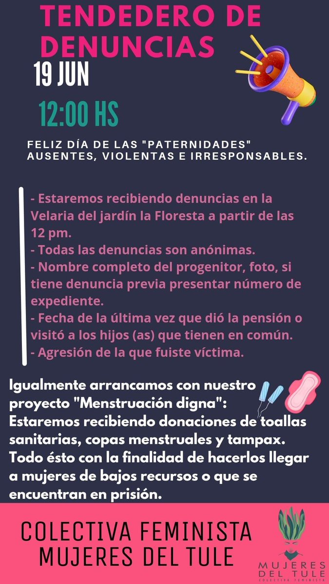 Mujeres del Tule Colectiva Feminista tweet media