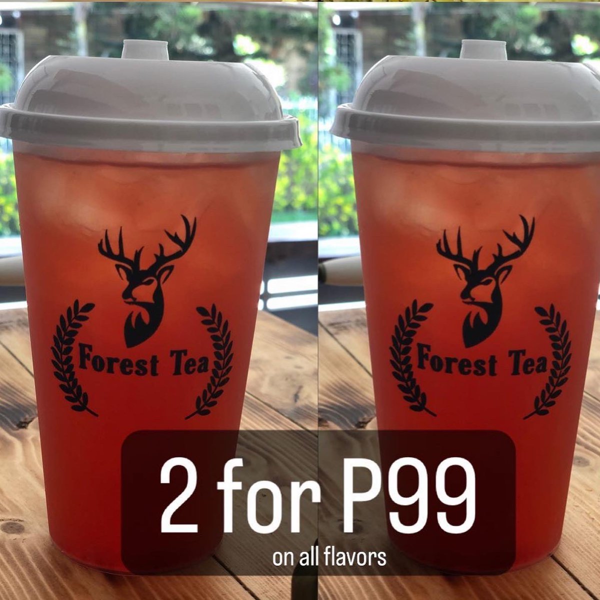 forestteashop's tweet photo. Happening today at our Casisang branch!🦌 

ENJOY OUR 2 for P99 FRUIT TEA PROMO!🥤🥤

All flavors available!😍

⏰10am-7pm

See you‼️ https://t.co/9qntcKuUcE