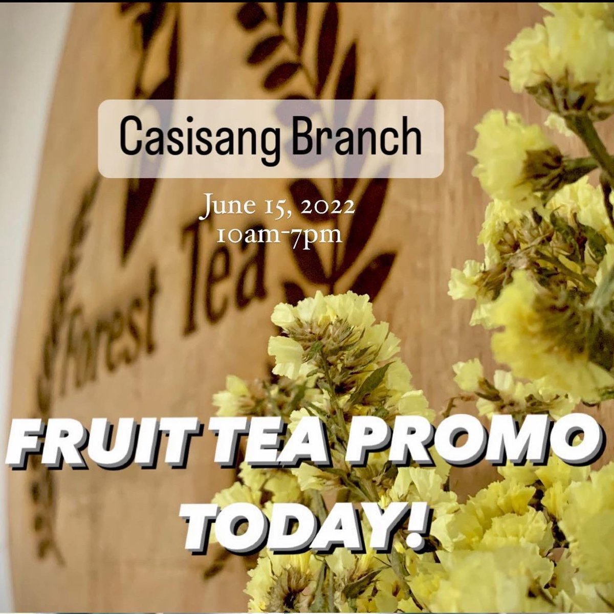 forestteashop's tweet photo. Happening today at our Casisang branch!🦌 

ENJOY OUR 2 for P99 FRUIT TEA PROMO!🥤🥤

All flavors available!😍

⏰10am-7pm

See you‼️ https://t.co/9qntcKuUcE