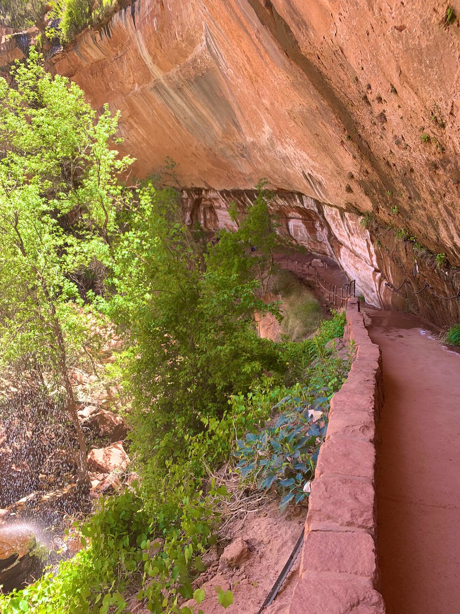 Seaside Records tweet media