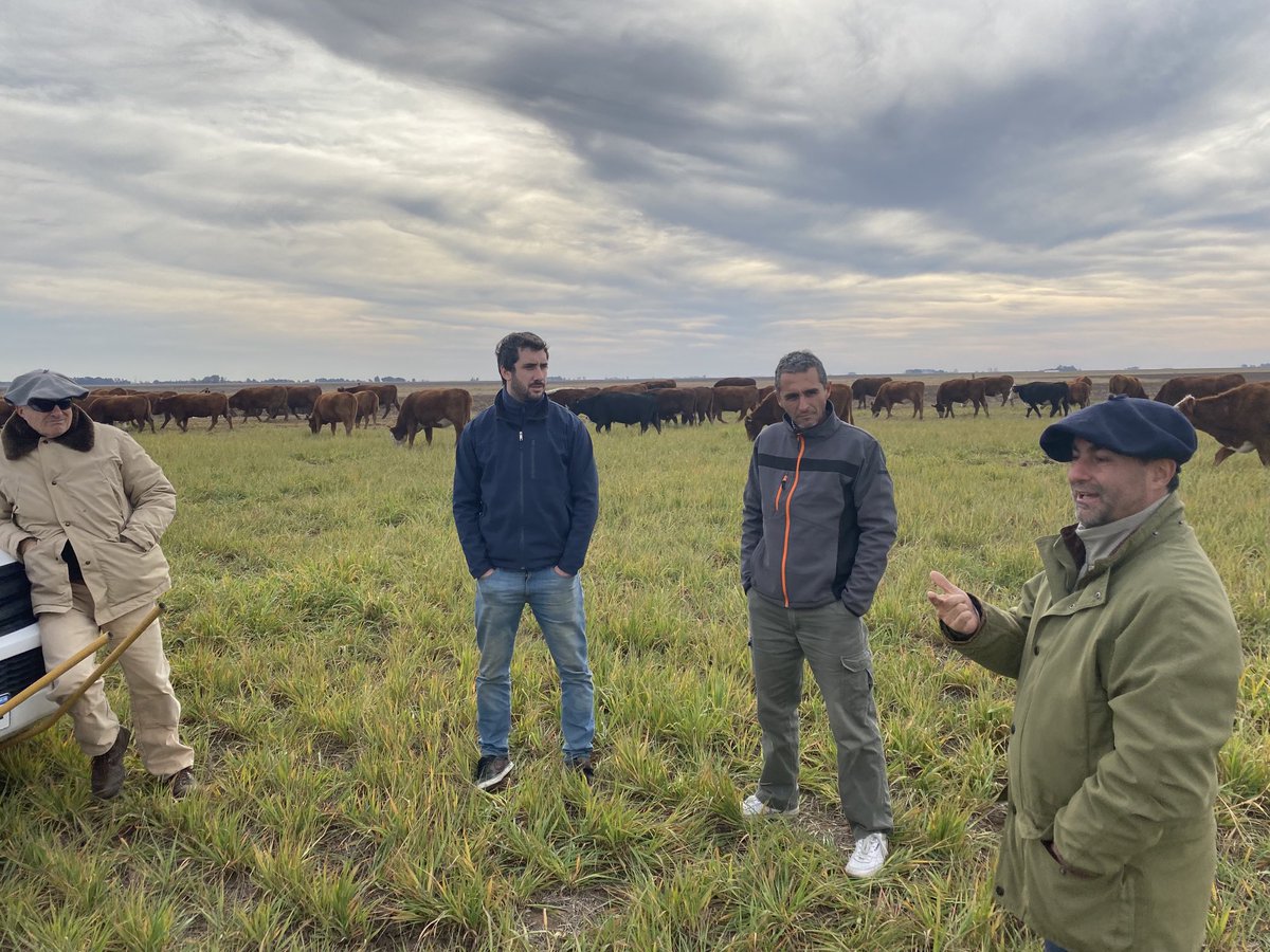 Hubo que emponcharse bien para la recorrida con el CREA Coronel Suárez. Junto con ⁦<a href="/Felipepereyra/">Felipe Pereyra</a>⁩ visitamos a amigos ⁦<a href="/elyarara/">Santiago Labourt</a>⁩ ⁦<a href="/PedroPerego/">Pedro Perego</a>⁩, más otros ex alumnos como Matias Saint André y Juan Kleine. Bellezas de recrías!!
