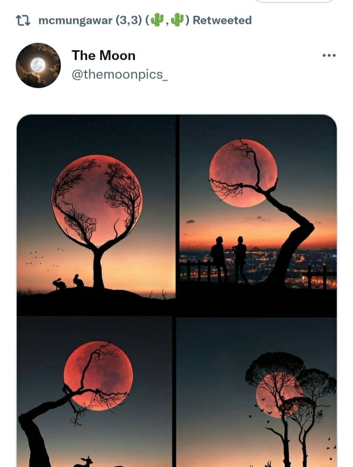 Munna and his moon fetish.....