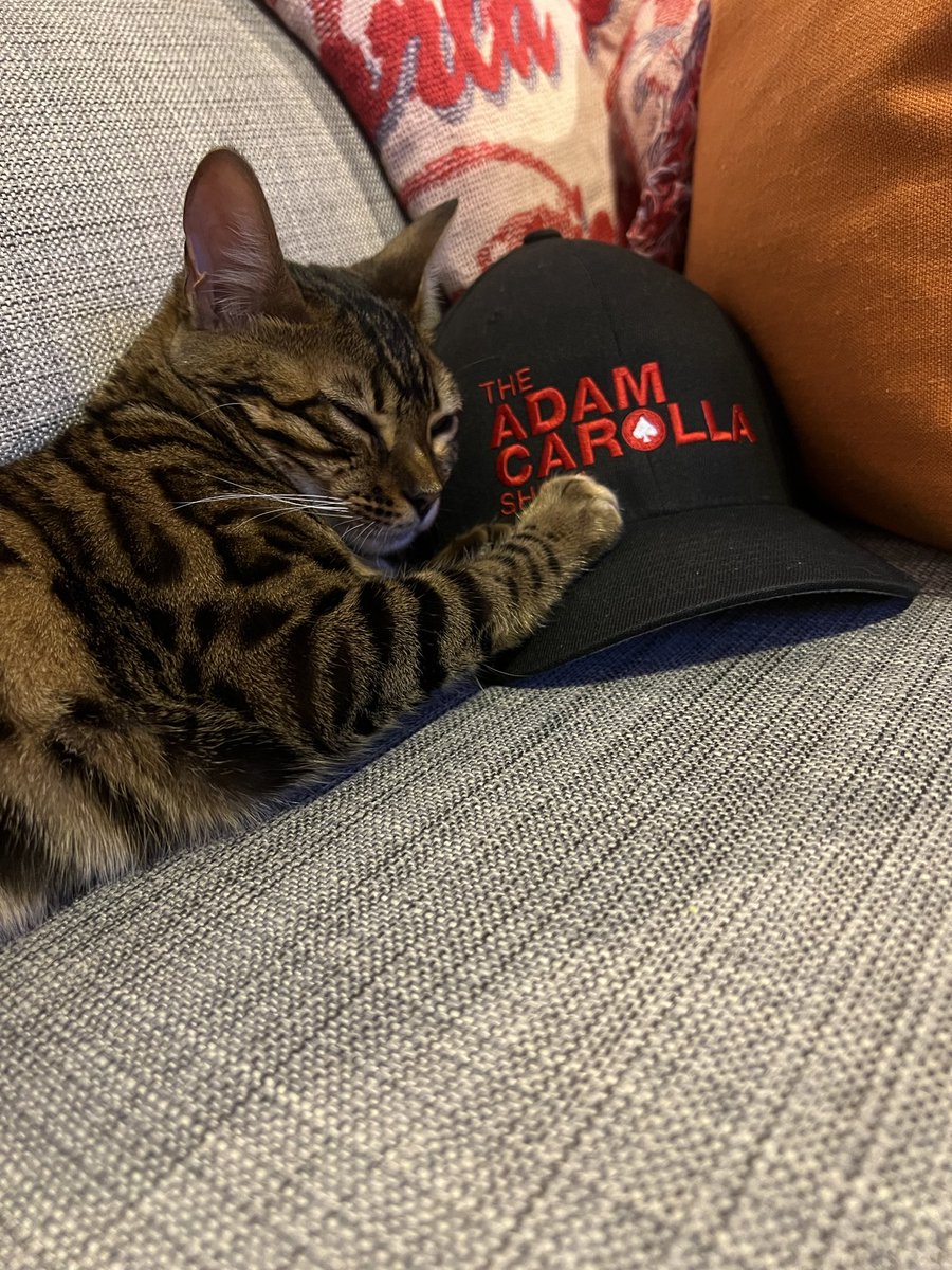 GregContaldi's tweet photo. Toni loves ACS! 

https://t.co/RFIreCG03N

⁦@AdamCarollaShow⁩ ⁦@adamcarolla⁩ ⁦@GinaGrad⁩ ⁦@BaldBryan⁩ https://t.co/Cte4Nq9kn5