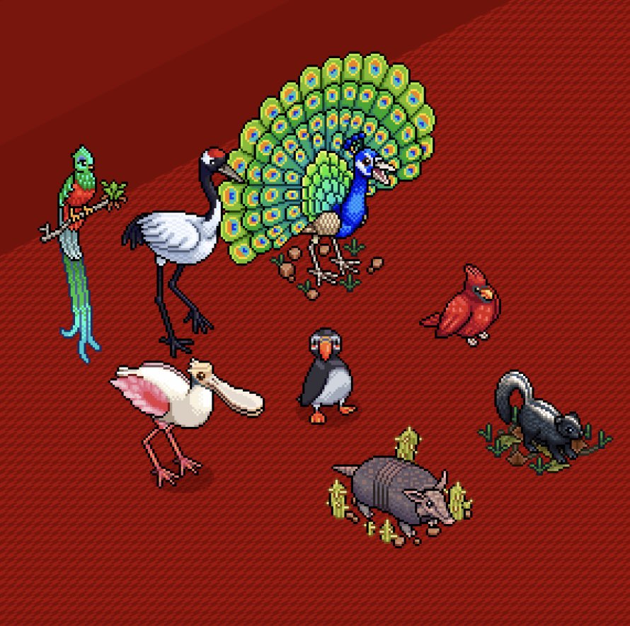 ManciniHabbo's tweet photo. Vendo estas cosas, agradezco RT :) https://t.co/rrii5ti86H