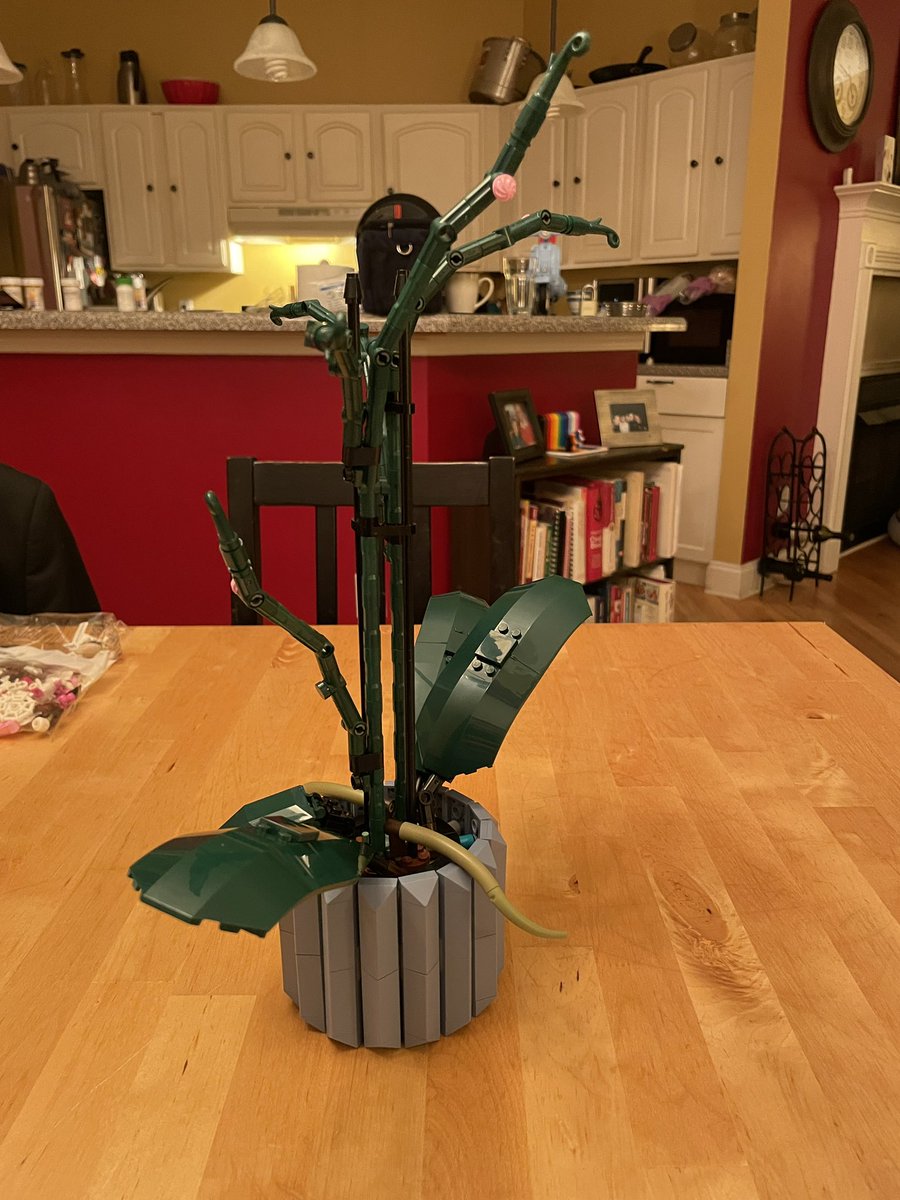 VTFitzC's tweet photo. Bag 3/4 for #lego #botanical #orchids. I know it’s just a bunch of technic pieces thrown together, but it’s amazing how it manages to actually look organic! https://t.co/yH6HDWxzPP