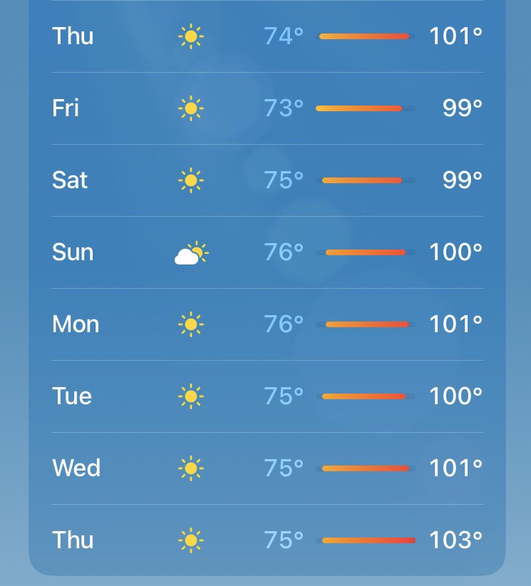 dazesenpai.near tweet media