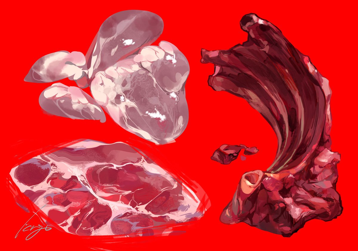 「肉模写 」|Krgcのイラスト
