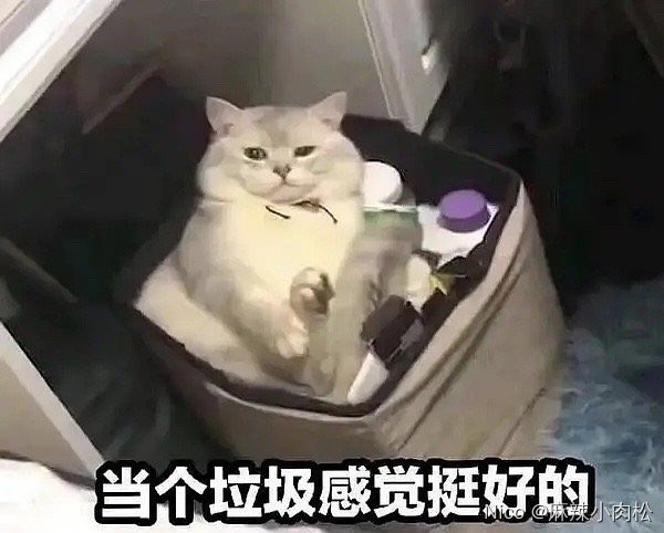 caosugong's tweet photo. 我的第六感告诉我对于某个v要早点跑路 https://t.co/JGYRhLJrDe