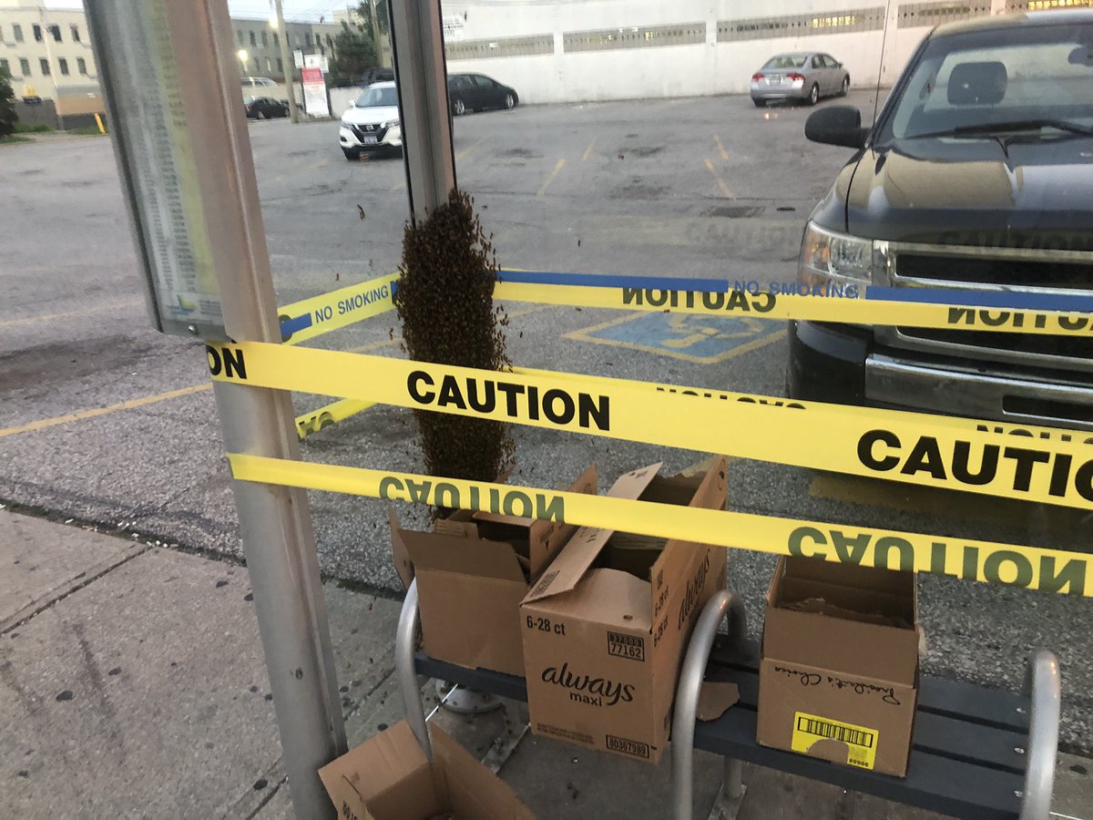 For anyone in downtown Windsor, look out. The bus stop on Wyandotte near Ouellette going west is taped off because it has a colony of bees in it. <a href="/CBCWindsor/">CBC Windsor</a>
