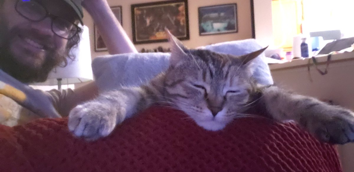 spacedmann's tweet image. Im dying rn 😂