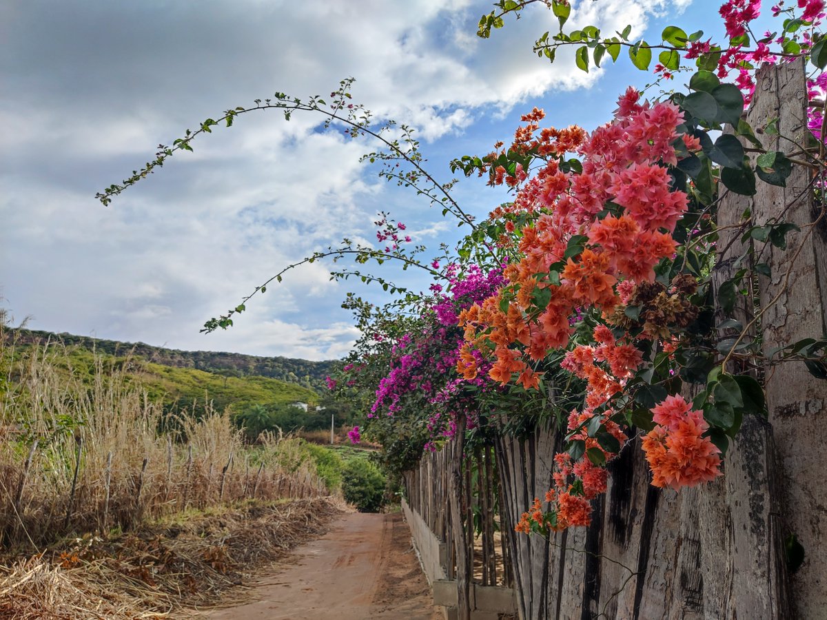Brandao91's tweet photo. Hope you like it!
#opensea 
Collection: https://t.co/Y0te0bHUXT

#NFTCommunity #NFTs #NFTphotographers #nftphotographer #NFTphotograph #NFTphotos #nftphoto #photography #photography #photographer #Brazil https://t.co/0rm3qxeuL4