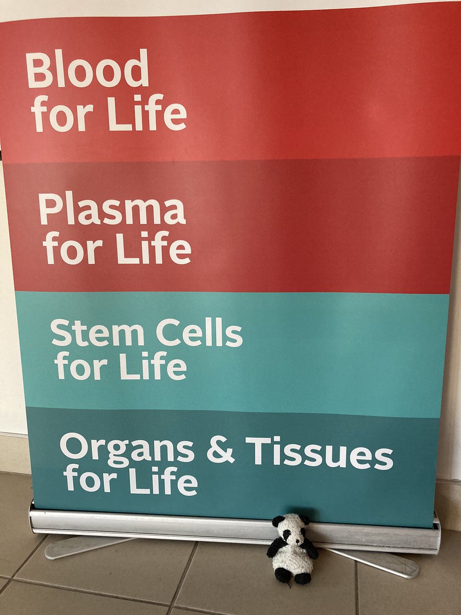 Adventure_Gauss's tweet photo. Today’s adventure was an important one, I went with my human to give blood! This week is National Blood Donor Week! Check out https://t.co/qpUDRoGnPG or https://t.co/zhT2jxQObD to book an appointment #NationalBloodDonorWeek #blood #SupportBear #NBDW #ShineALight @CanadasLifeline https://t.co/LztS3nv2Ga