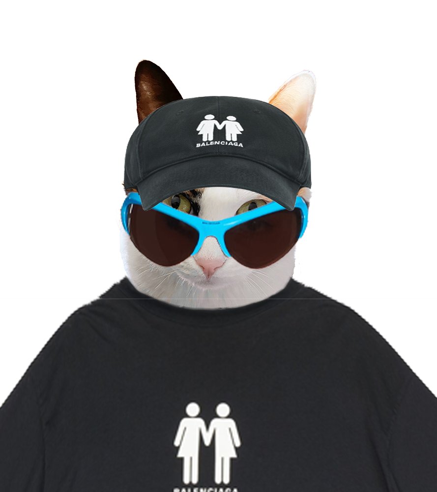 toocoolXcat's tweet photo. Time to Pride!❤️🧡💛💚💙💜

Today I'm a cat in wire CAT sunglasses, everything from @BALENCIAGA 

#Pride2022 #Pride #NFT #NFTs #nftart #NFTCommmunity #NFTProject #fashion #fashionstyle https://t.co/6xebm1VBLT