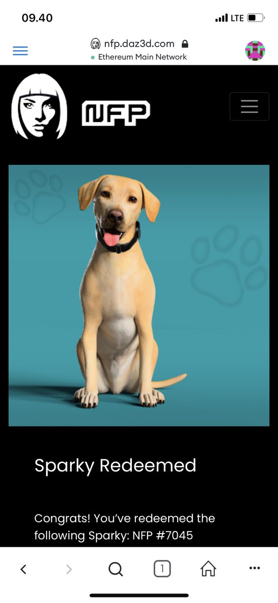 DegenWitch's tweet photo. Always wanted a Lab (because my real doggo doesn't like fetching stuff π), wish I could adopt one IRL π #AdoptDontShop #NFPets @NFungiblePeople https://t.co/9x2YXenmyW