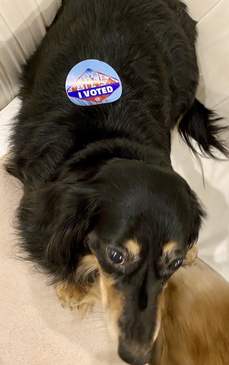 AliciaJacobs (@aliciajacobs) on Twitter photo LOOK who voted! My sweet & brilliant, Newton did her civic duty today. She’s a big supporter of our good friend, <a href="/gerardramalho/">Gerard Ramalho</a> - next #SecretaryOfState for #Nevada. (this could send Trump over the edge! Proof that dogs are in deed VOTING! 🤫) #WeMatter LOOK who voted! My sweet & brilliant, Newton did her civic duty today. She’s a big supporter of our good friend, <a href="/gerardramalho/">Gerard Ramalho</a> - next #SecretaryOfState for #Nevada. (this could send Trump over the edge! Proof that dogs are in deed VOTING! 🤫) #WeMatter
