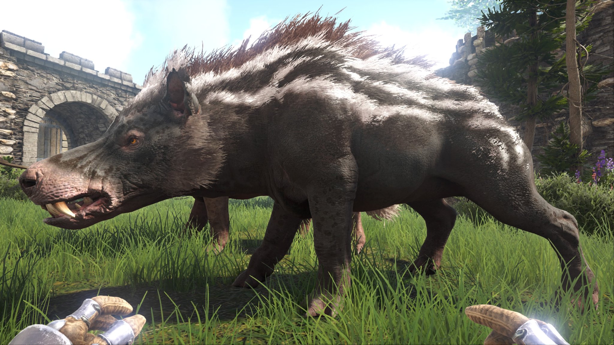 ファルコ on Twitter 