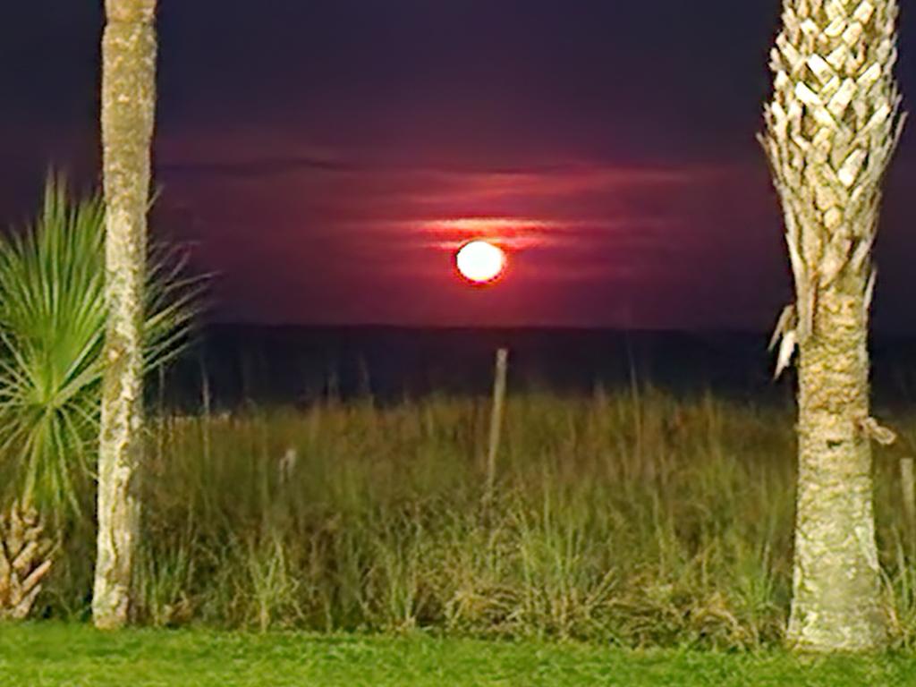 Lindsay Dillon tweet media